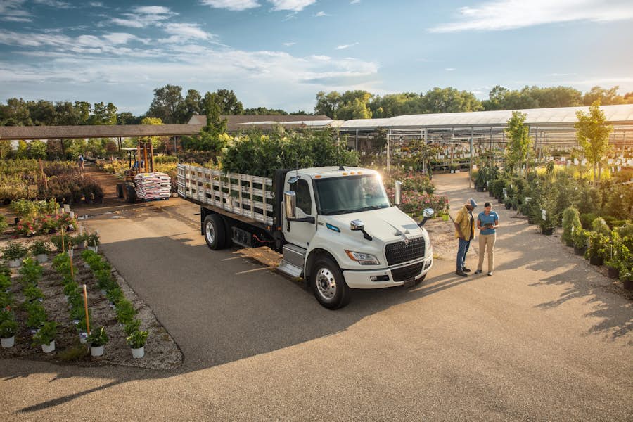 A truck with a bed of plants on it