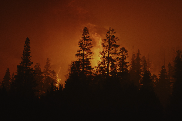 Documenting The Extraordinary Lengths Drivers Go